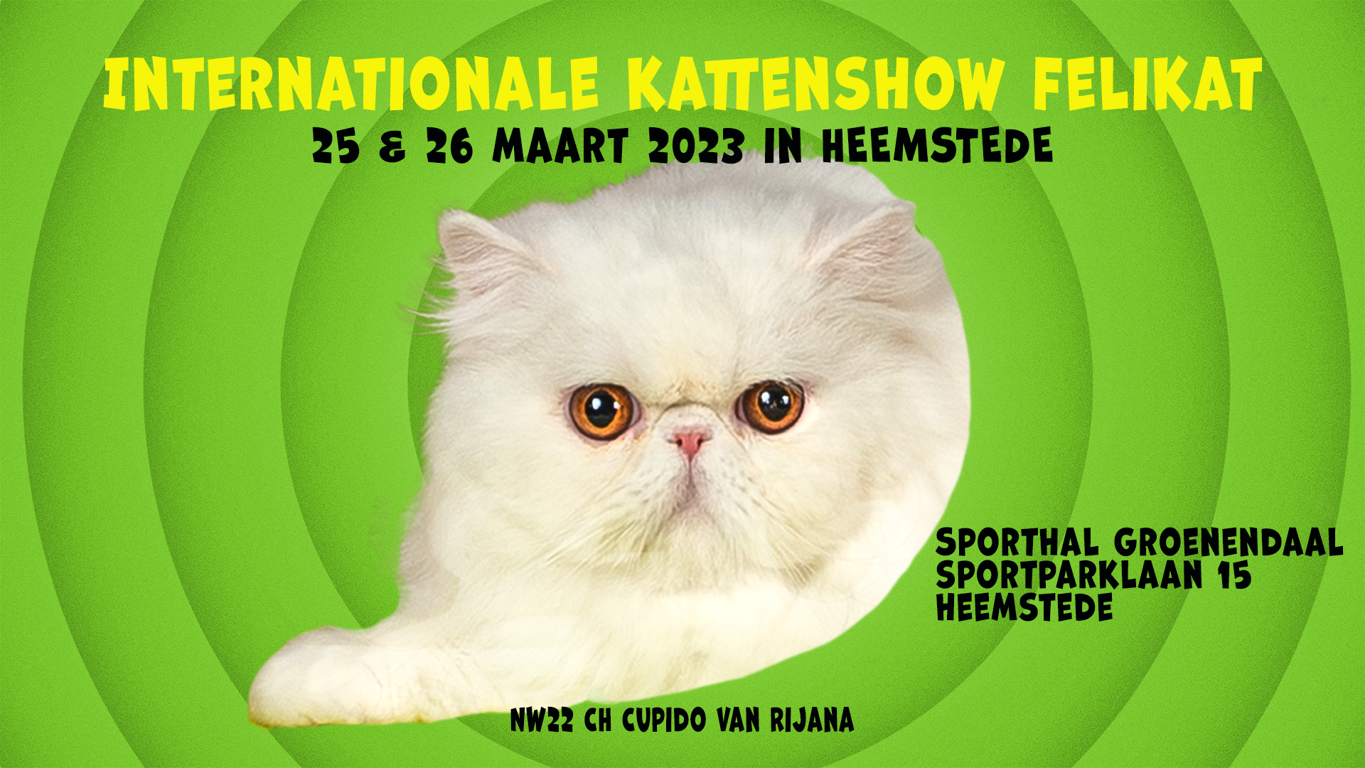 Internationale Felikat show maart 2023 in Heemstede