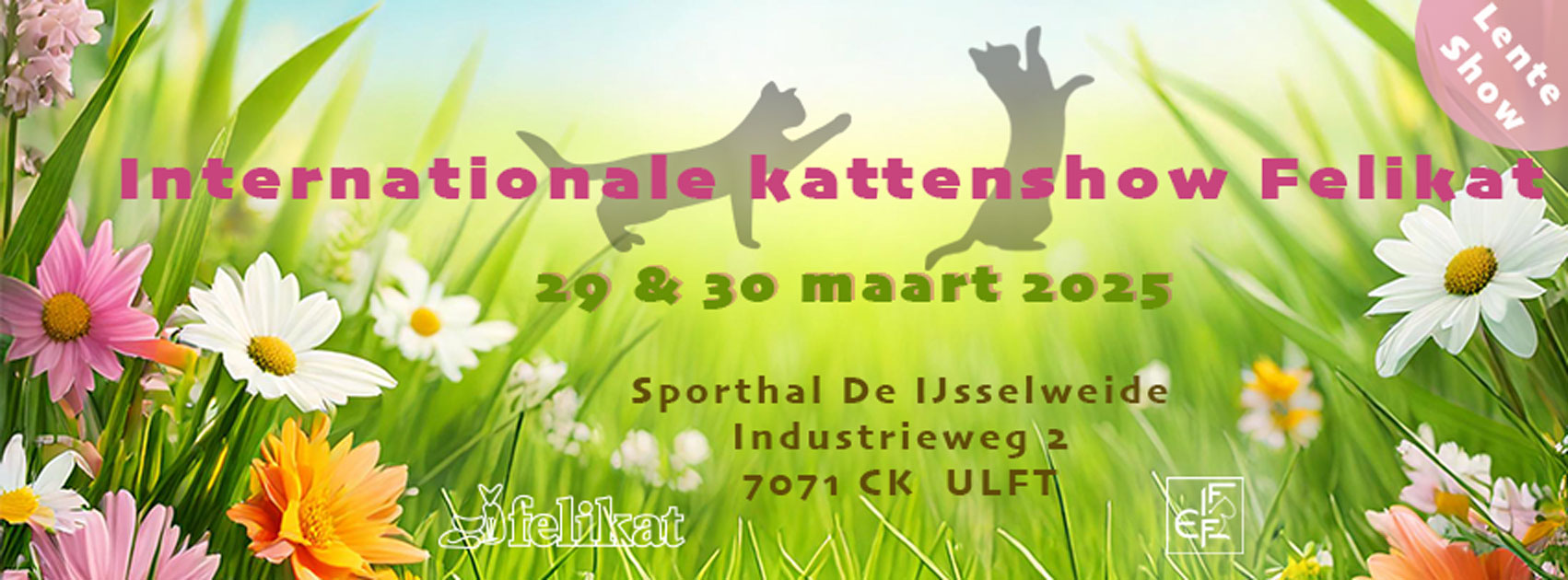 Felikat show Ulft 29-30 maart 2025